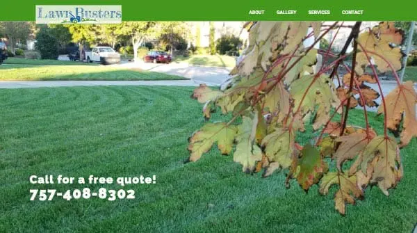 lawn busters virginia beach va